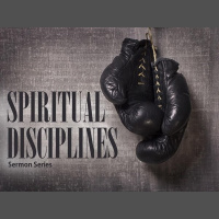 10 Principles to Lead/Steward Your Family