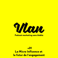 Vlan #31 La micro-influence et le futur de lengagement avec Thomas Owadenko