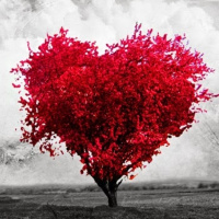 Meditación corta. Ámate | Ep. 21