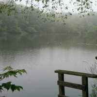 Meditación de luz para sanar | Ep. 6