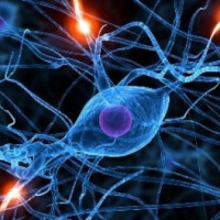 Meditación para la regeneración celular | Ep. 10