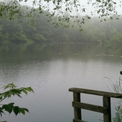 Meditaciones Con Mayra Cadengo