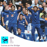 Scenes at the Bridge