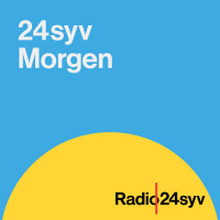 Regeringens lovforslag om dobbelt statsborgerskab møder skarp kritik. Vil S...