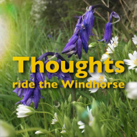 Thoughts ride the Windhorse