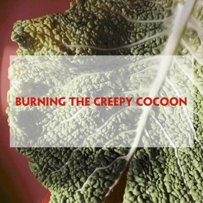 Mindsprings Podcast With Alistair Appleton