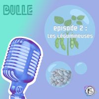 Bulle #2 : Les Légumineuses