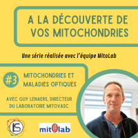 ADM #3 - Mitochondries et maladies optiques, avec Guy Lenaers