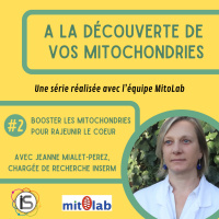 ADM #2 - Booster les mitochondries pour rajeunir le cœur, avec Jeanne Mialet-Perez