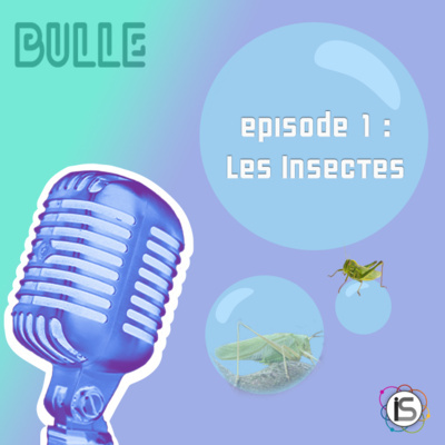 Indesciences Podcast