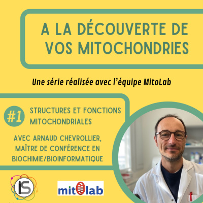 Indesciences Podcast