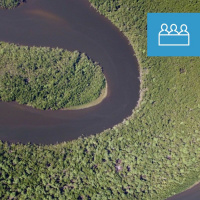 Deforestation – a sustainable dilemma