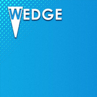WEDGE: Servants, Scum and Spiritual Multiplication