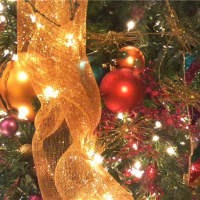 SPECIAL EDITION SHOW (HAPPY HOLIDAYS MUSIC)