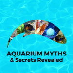 Aquarium Myths And Secrets Revealed