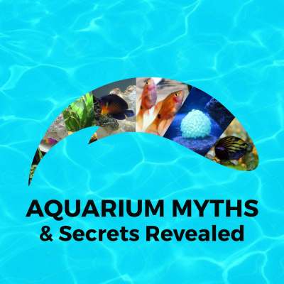 Aquarium Myths And Secrets Revealed