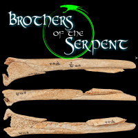 Episode #191: The Hidden History of the Human Race - Part 1