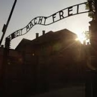 80 Años de Memoria: La Liberación de Auschwitz y la Lección Olvidada
