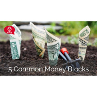 5 Common Money Blocks