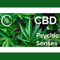 CBD  Psychic Senses