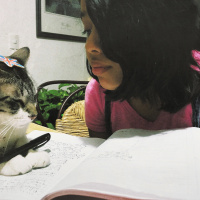 Entrevista ☎️ - A day in the life of Tanis