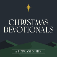 Christmas Devotionals Part 2: Mary