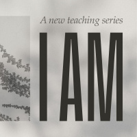 I AM | 2 I AM THE LIGHT OF THE WORLD | ROSIE LAMPARD | JOHN 8 : 12