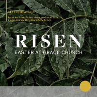RISEN | HOPE OF THE RESURRECTION | JON POTTER | 1 PETER 1:3