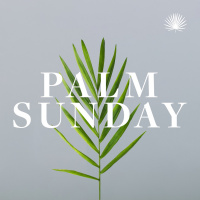 One-off | Palm Sunday | Callum Plews | 1 Corinthians 1:18-25