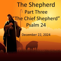 Part 3 The Chief Shepherd