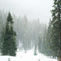 Philippians 3 - Protection