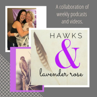Hawks  lavender rose - Episode 4: Definitions of Love