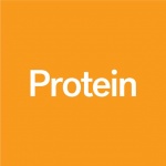 Protein