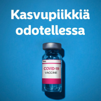 Kasvupiikkiä odotellessa