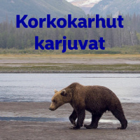 Korkokarhut karjuvat