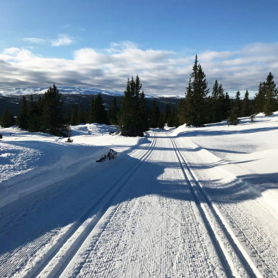 Nordea Markets Insights Fi