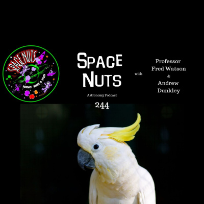Space Nuts