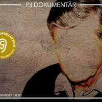 Fallet Kapten Klänning – hela serien