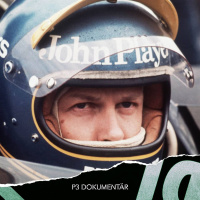 Racerlegenden Ronnie Peterson