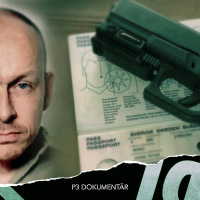 Peter Mangs och morden i Malmö