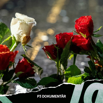P3 Dokumentär