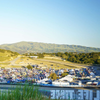 The State of the MTB Industry Post-COVID