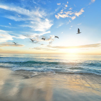 Maciej Wielobób - Audioblog - EP001: Precyzja w praktyce asan