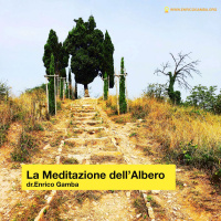 La Meditazione dellAlbero