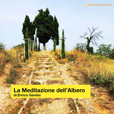 Le Meditazioni Del Dr. Enrico Gamba