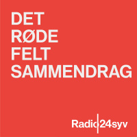 DSUs formand om en kommende S-regering  Officiel undskyldning til...