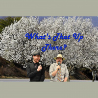Whats That Up There? • Ep 109- Urban Tree Canopy