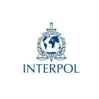 TR 35 - INTERPOL y los robos de obras de arte