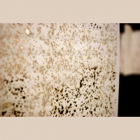 TR 27 - Entrevista a Julián Terán