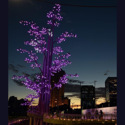 Temporada De Relámpagos